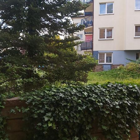 Apartament, 2 Pokoje, Stacja Metra Kabaty, Ursynow ワルシャワ エクステリア 写真